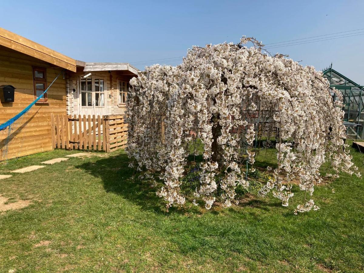 The Retreat Hotel Hornblotton Esterno foto